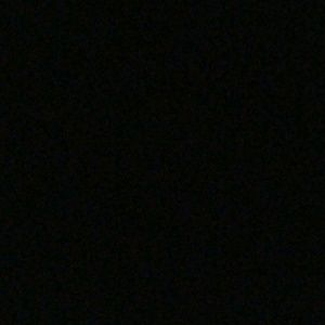 Meet your Posher, Gracie